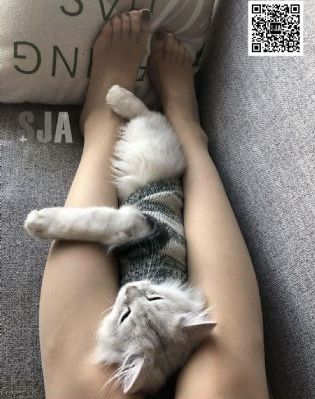影视工厂在线追剧免费看电视剧