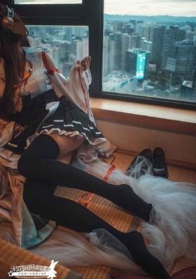 白莲花电视剧完整版免费