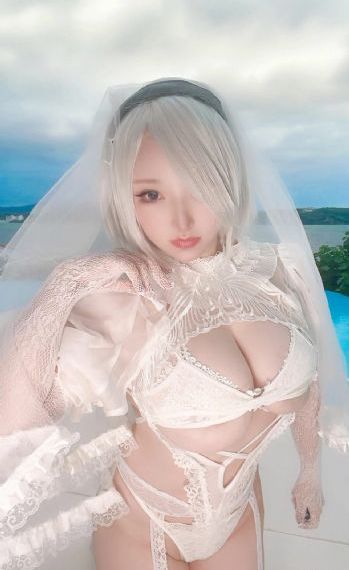 男爵夫人的调教