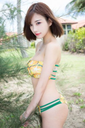 莲花楼全40集免费看