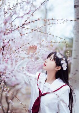 钢琴课 电影
